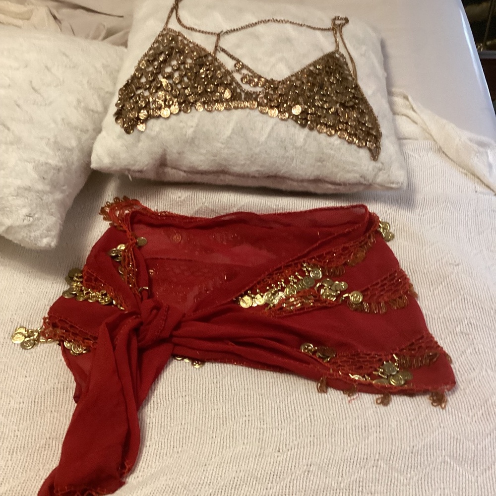 Belly Dance Costume - metal hardware, goldtone, adjustable